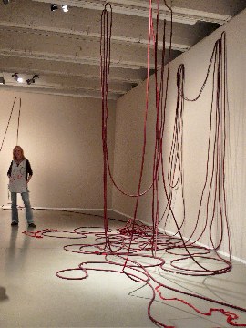 Documenta 12: Sheela Gowda - And...